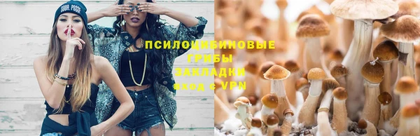 прущие крисы Вяземский