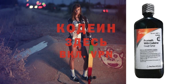 прущие крисы Вяземский