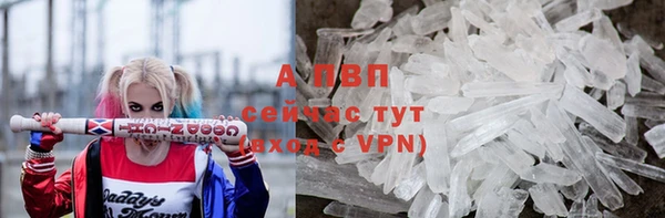СК Вязьма