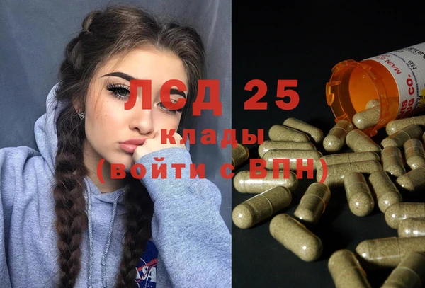 СК Вязьма