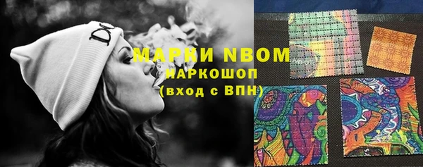 СК Вязьма