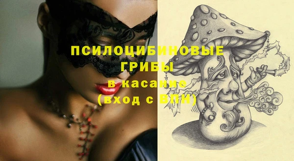 прущие крисы Вяземский