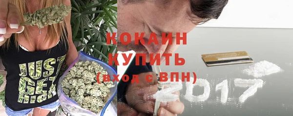 прущие крисы Вяземский