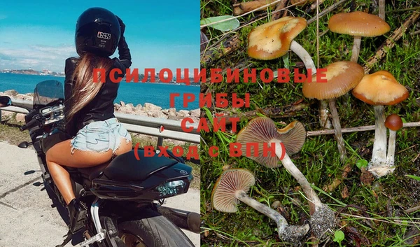 прущие крисы Вяземский