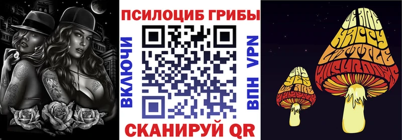 Галлюциногенные грибы мухоморы  купить наркотики цена  Кедровый 